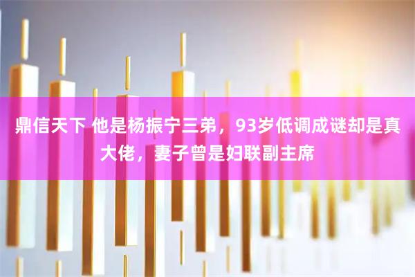 鼎信天下 他是杨振宁三弟，93岁低调成谜却是真大佬，妻子曾是妇联副主席