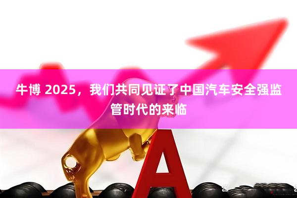 牛博 2025，我们共同见证了中国汽车安全强监管时代的来临