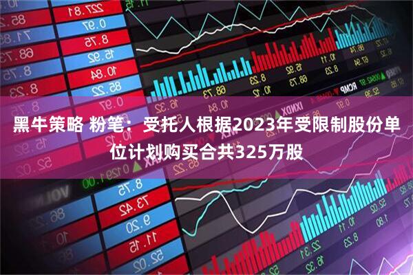 黑牛策略 粉笔：受托人根据2023年受限制股份单位计划购买合共325万股